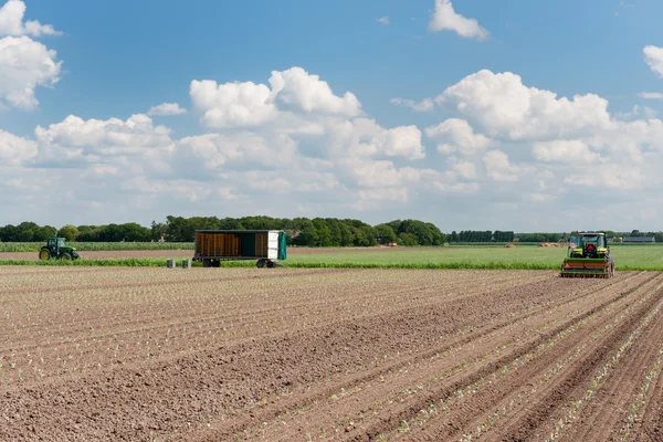 Traktor auf den Feldern — Stockfoto