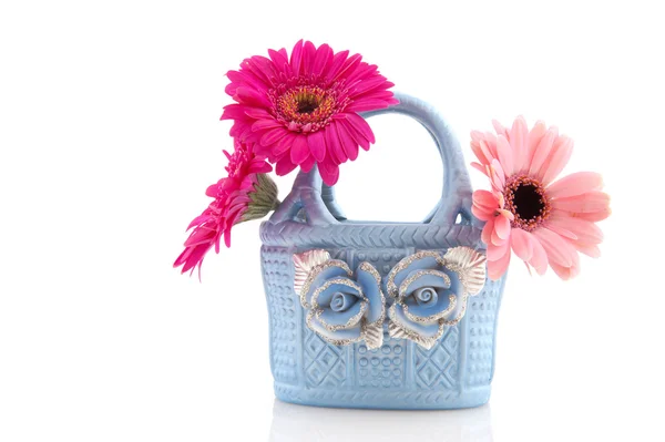 Blue basket flowers — Stock Photo, Image