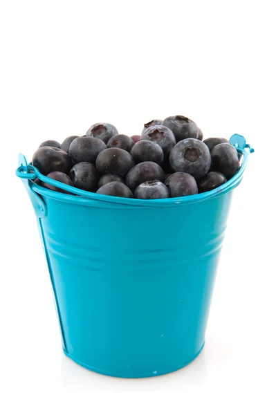Blue bucket blueberries — Stock Photo, Image
