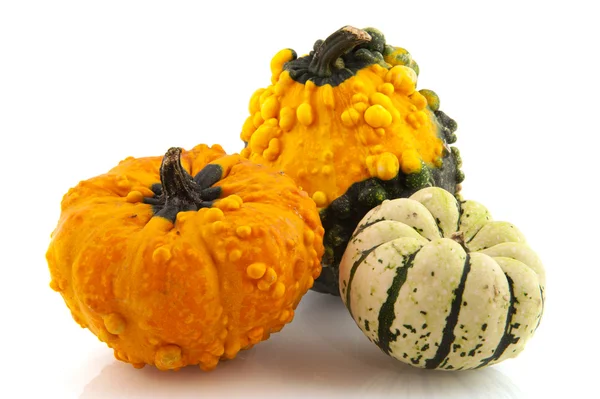 Squashes and pumpkins — Stock Photo, Image