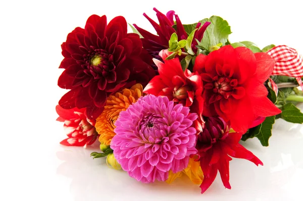 Festive bouquet Dahlias — Stock Photo, Image