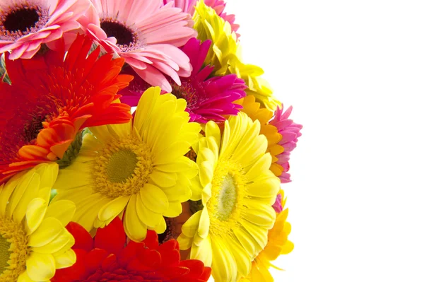 ガーバーのカラフルな花束 — ストック写真