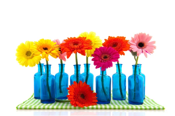 Wiersz niebieski szklane wazony z kolorowych gerber — Zdjęcie stockowe
