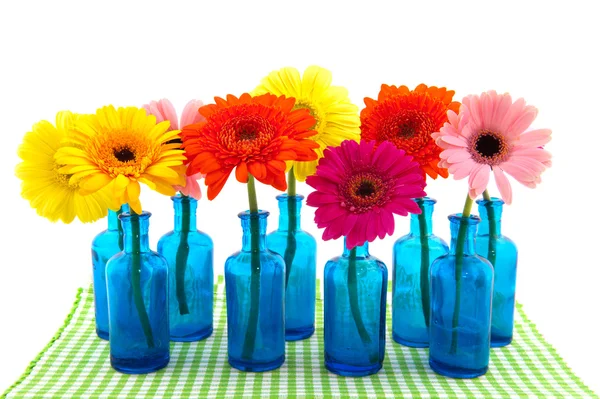 Row blue glass vases with colorful Gerber — Stock Photo, Image