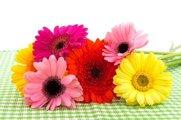 Flores de colores — Foto de Stock