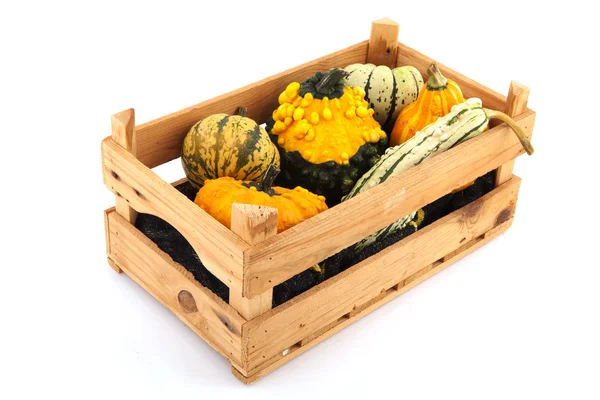 Squashes and pumpkins in wooden crate — Stock Photo, Image