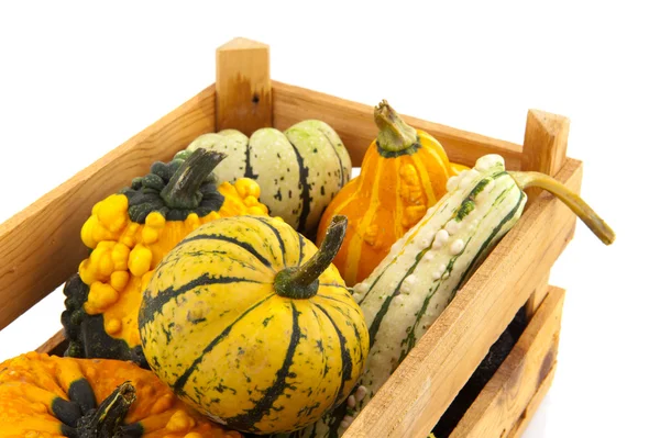 Squashes and pumpkins in wooden crate — Stock Photo, Image