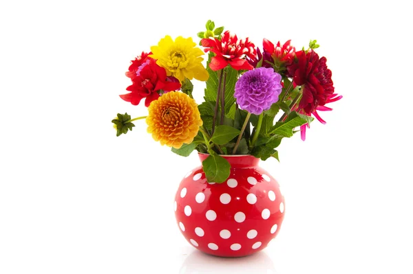 Bouquet Dahlias in vaso — Foto Stock