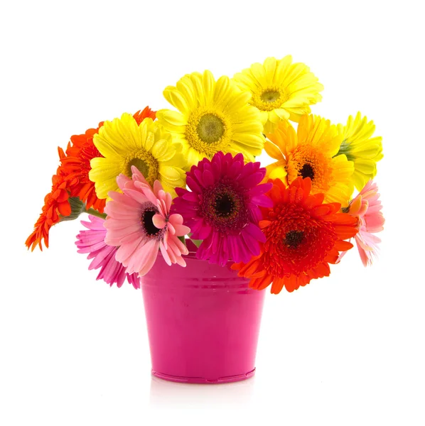 Colorful bouquet Gerber — Stock Photo, Image