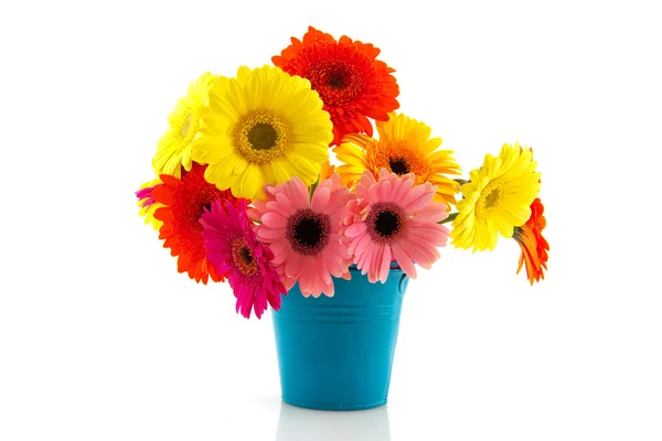 Colorful Gerber bouquet — Stock Photo, Image