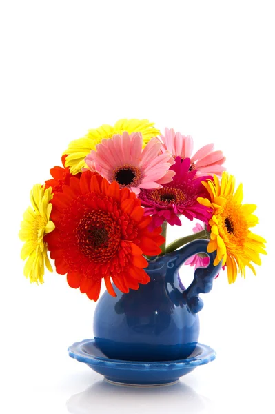 Bouquet Gerber coloré — Photo