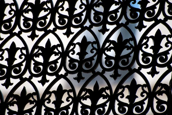 Zarif çit — Stok fotoğraf