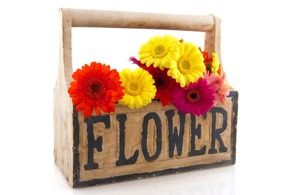 Drewniane skrzynki z kwiatami — Zdjęcie stockowe
