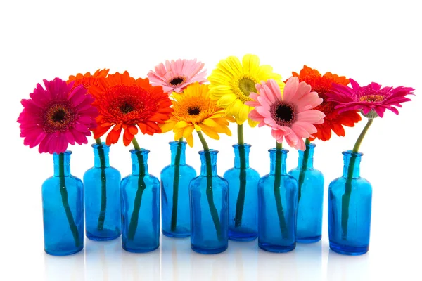 Rij blauwe glazen vazen met kleurrijke gerber — Stockfoto