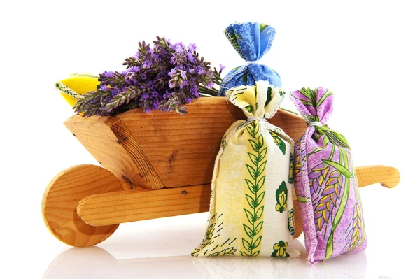 French Lavender — Stock Photo, Image