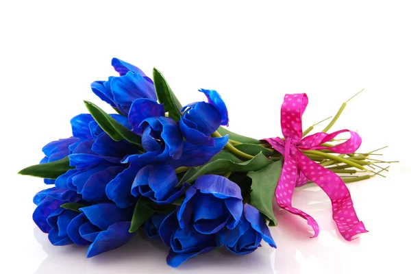 Błękitne tulipany — Zdjęcie stockowe