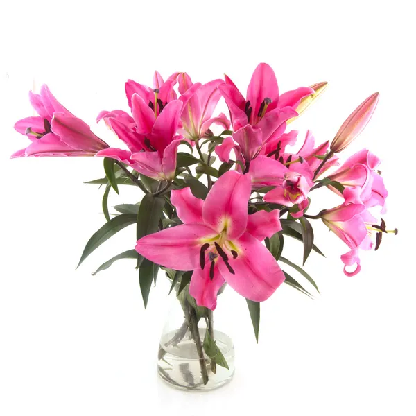 Bouquet Lily flowers — Stock Photo, Image