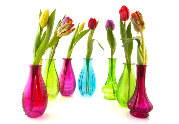 Tulipanes coloridos en jarrones de vidrio —  Fotos de Stock
