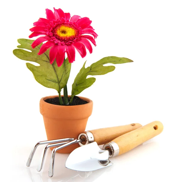 Искусственное цветочное растение с садовыми инструментами — стоковое фото