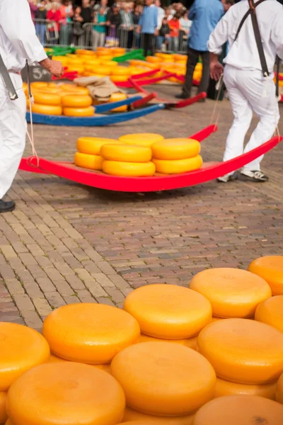 Holländischer Käse — Stockfoto