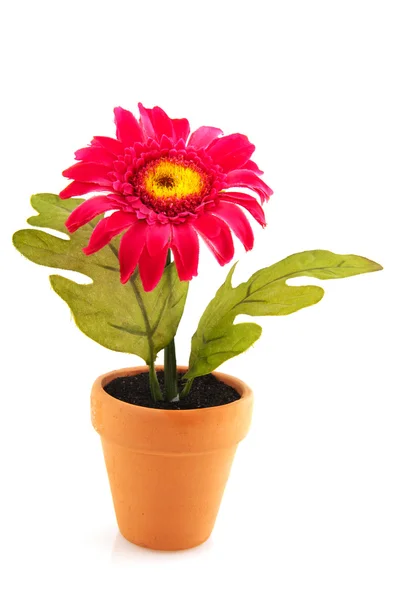Kunstmatige bloem plant — Stockfoto