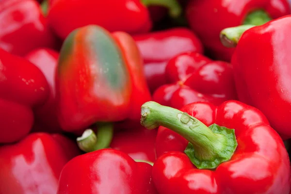 Čerstvá červená paprika — Stock fotografie