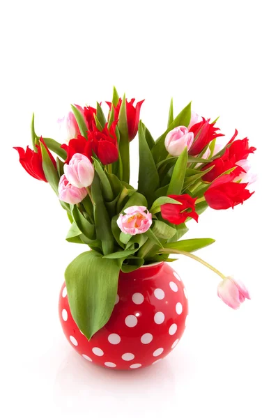 Bouquet tulips — Stock Photo, Image