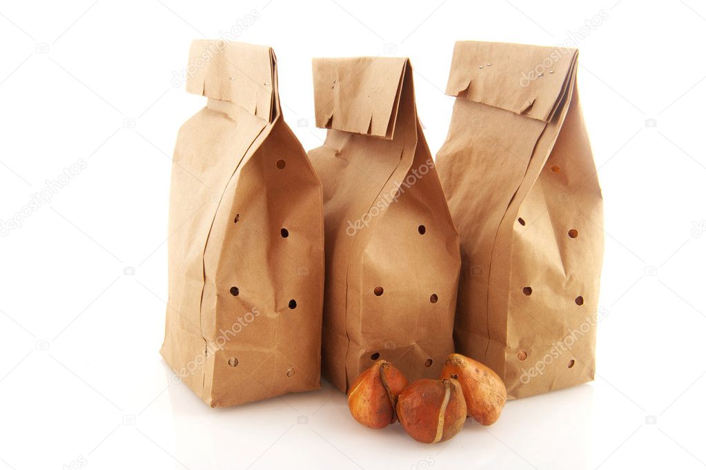 Paper bags with flower bulbs