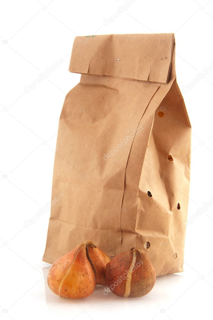 Paper bag with flower bulbs