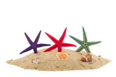 starfishes