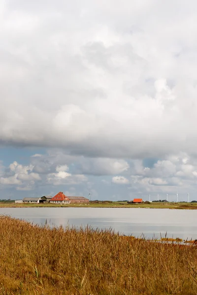 荷兰岛 — 图库照片