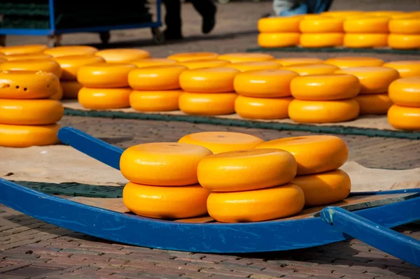 Stock image Dutch cheese