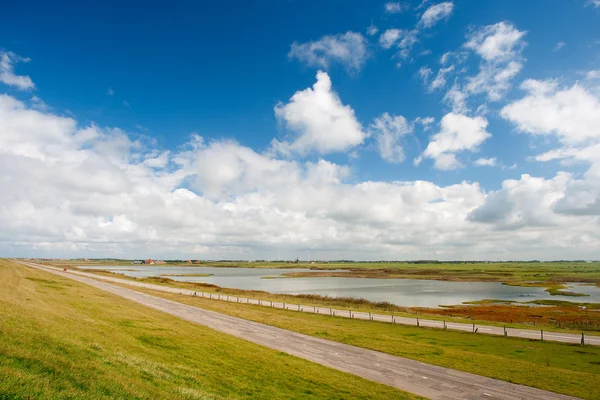 Nederlandse landschap achter de dijk — Stockfoto