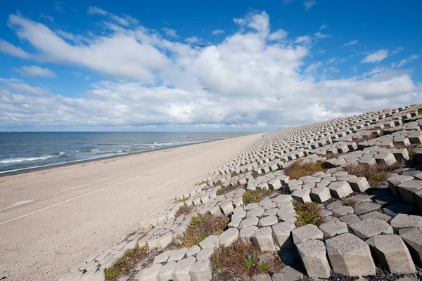Dique de mar holandés — Foto de Stock