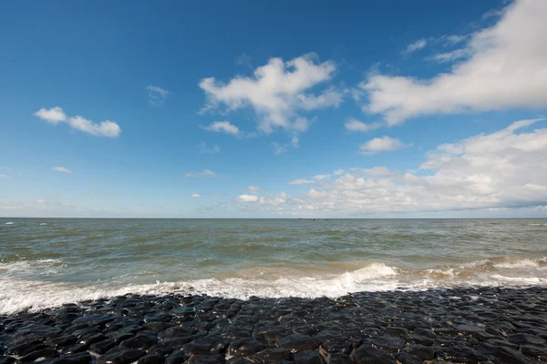 Hollanda deniz dike — Stok fotoğraf