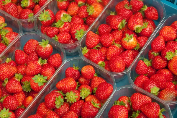 stock image Fresh strawberries