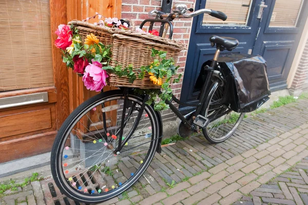 Trasporto bici olandese — Foto Stock
