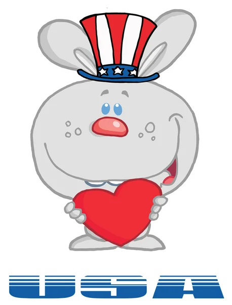 灰色美国兔子站立在美国 — 图库照片