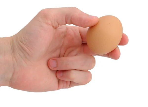 Stock image Needle egg and hand