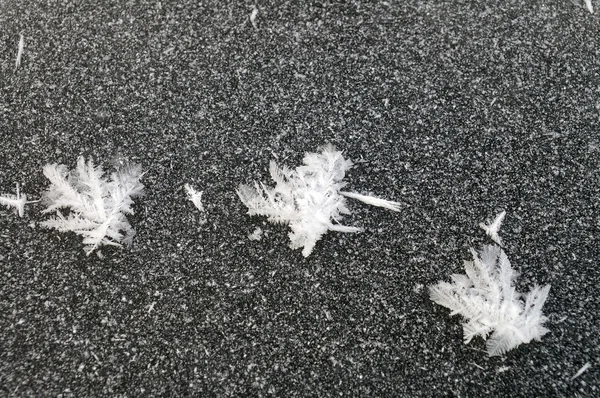 Trzy płatki śniegu — Zdjęcie stockowe