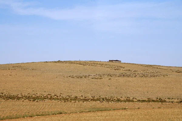 Пустыня и кочевник — стоковое фото