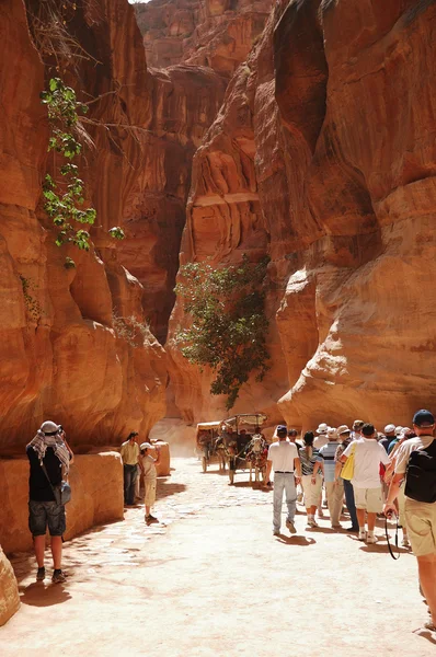 Petra kanion — Zdjęcie stockowe