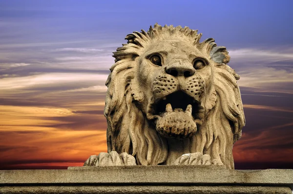 布达佩斯狮子 — 图库照片