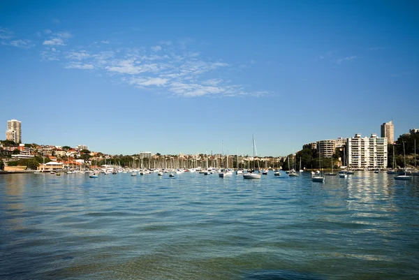 Rose Bay, Sydney, Australia — Zdjęcie stockowe