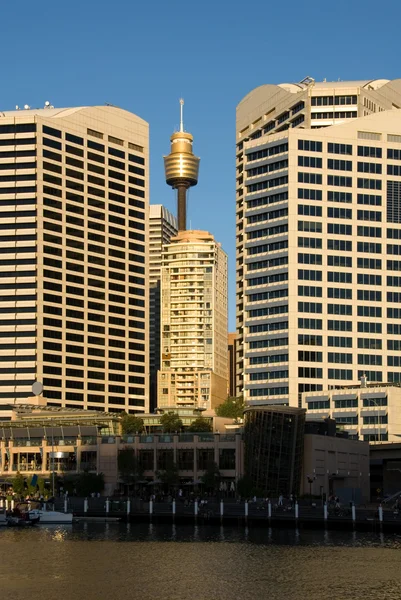 Sydney stad scène — Stockfoto