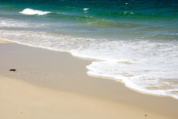 해변 경치 — 스톡 사진