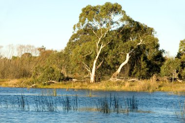 wingecarribee Nehri