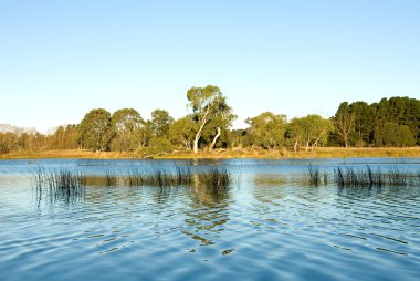 wingecarribee Nehri