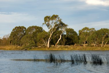 wingecarribee Nehri