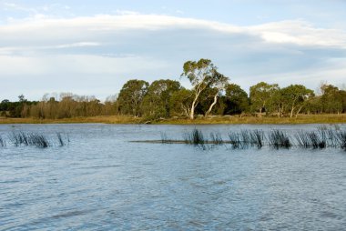 wingecarribee Nehri